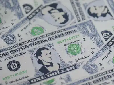 Damask Jacquard Fabric